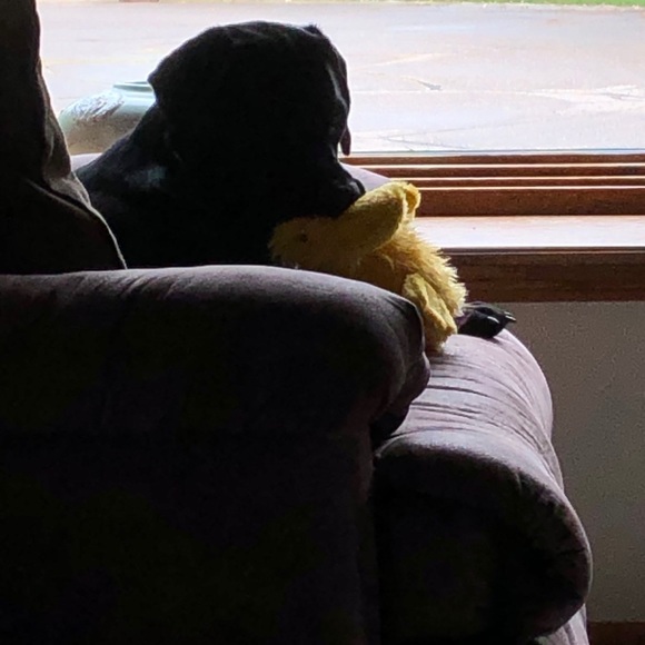 🧩 Cobble Hill Puzzle 🧩 - Picture 5 of 5